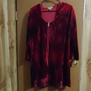 Dress Barn velvet hoodie